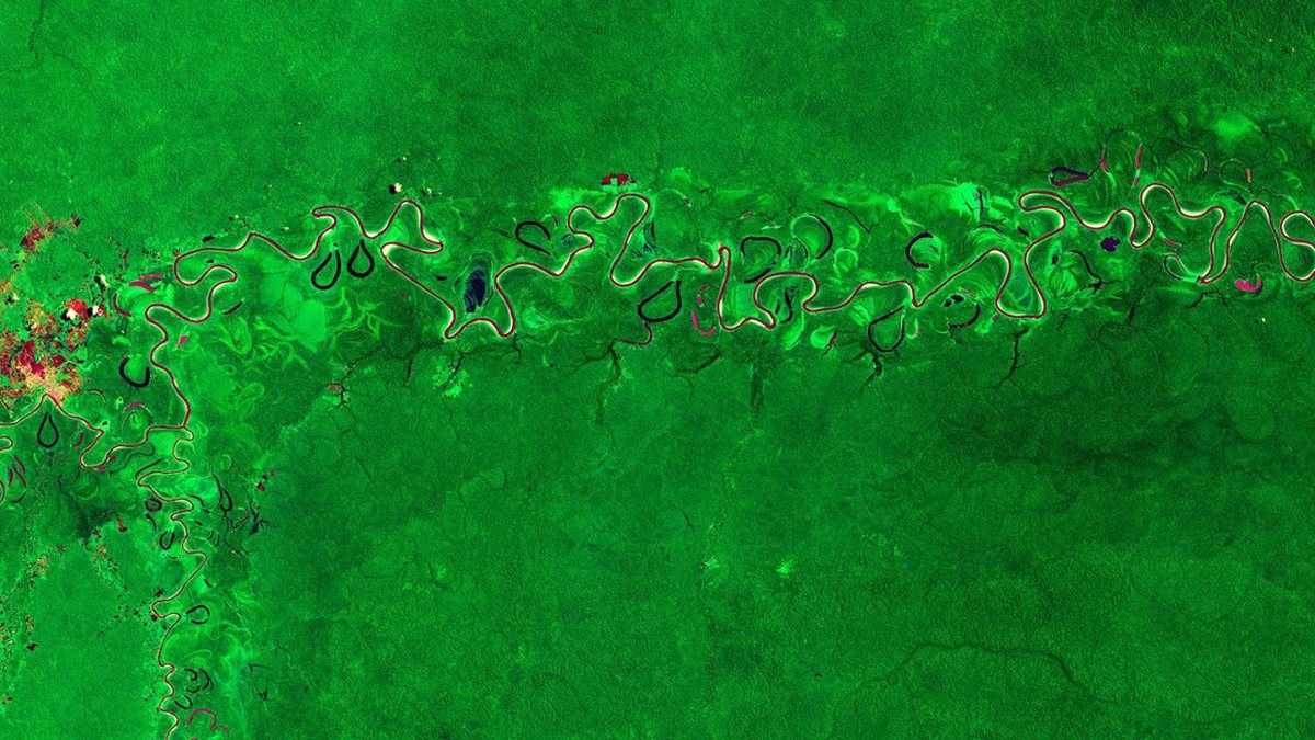 The world's tropical forests are edging toward a heat limit