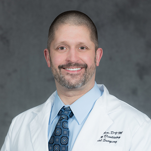 Dr Christopher Snyder