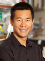 Gene Yeo