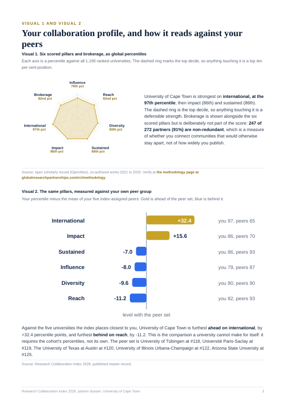 Page 3 of the public preview Blueprint for University of Cape Town